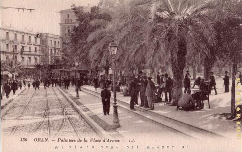 CRT PST-palmiers place d'armes.jpg